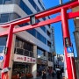 [일본 도쿄여행] #2 : 가마쿠라역 짐 물품 보관소, 고마치도리 거리, 도토리 공화국, 녹차 아이스크림, 일본 여름 길거리 감성