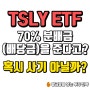 YIELDMAX社의 TSLY ETF 위험성 분석