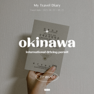 오키나와 여행 준비물 | 국제운전면허증 온라인 발급/영문 면허증 차이🔖