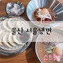 리뷰 : )울산 태화강 국가정원 시원한 냉면맛집!! 서울냉면