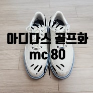 아디다스 골프화 mc80 솔직후기, 사이즈 팁, 남자 골프화 추천