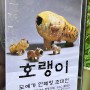 안혜영 도예가 초대전 - 호랭이 3D VR 촬영 현장