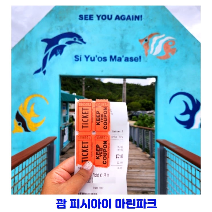 괌 피시아이 마린파크 입장료 및 가족여행 추천코스(Guam Fish Eye Marine....