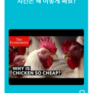 Why is chicken so cheap? (치킨은 왜 이렇게 싸요?)