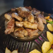 울산 양고기 맛집 징기스 달동 삼산 분위기 좋은 양갈비 추천 식당