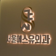 서울에스유외과 방문기