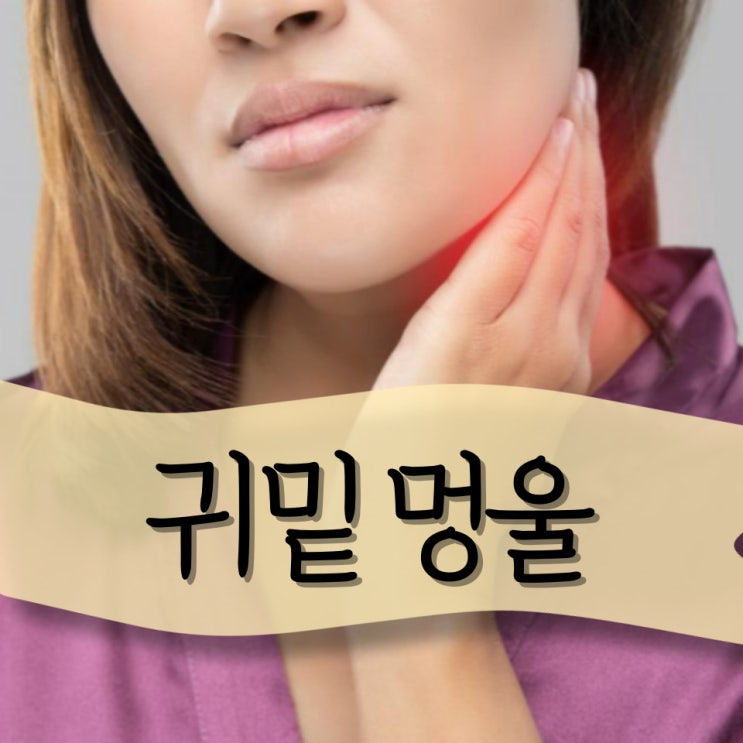 귀밑 멍울, 이하선종양(침샘 종양) : 네이버 블로그