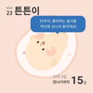 우량아 기준은 몇 kg (아기 몸무게표)