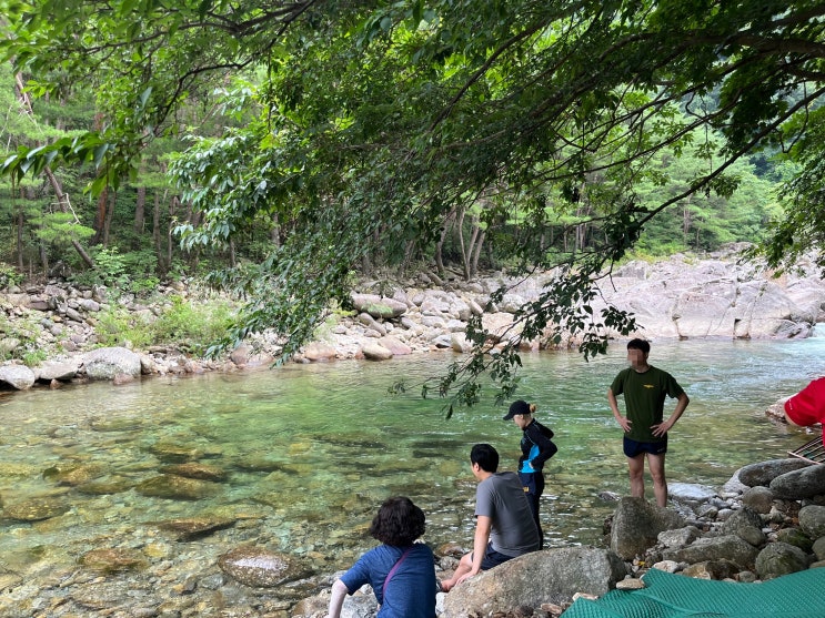 지리산 뱀사골 랜드 ; 남원 단체 모임하기 좋은 계곡 펜션 : 네이버 블로그