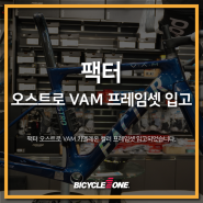 팩터 오스트로 VAM 카멜레온 컬러 프레임셋 입고 / 수원 로드바이크 & MTB 전문 자전거매장 바이씨클원