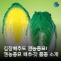 올해 김장김치는 권농종묘의 배추를 직접 심어 준비하세요!