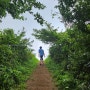 제주도 서쪽 오름, 산행하기 좋은 애월 궷물오름