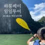 하노이출발 하롱베이 일일투어 후기 feat 클룩