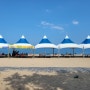 포항 노지캠핑 / 차박 :: 여름에 가기좋은 솔밭있는 그늘 동해바다, 샤워장, 야영요금 [화진해수욕장]