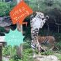 [에버랜드 타이거밸리] 7월 29일은 세계호랑이의 날!(모든 호랑이들이 행복하길!!!) 아름, 다운, 우리, 나라 행동풍부화