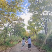 인천 아이랑가볼만한곳 _ 드림파크야생화공원 + 핑크뮬리 + 주말 나들이