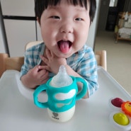 아기 빨대컵 컵사용 시기, 10개월아기 스스로 잡고 먹기_하이비 치발기용 젖병 손잡이 내돈내산