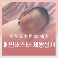 2024-4 출산후기 :: 박지*님의 로즈마리병원 제왕절개 분만 후기 (페인버스터/ 이원명 원장)