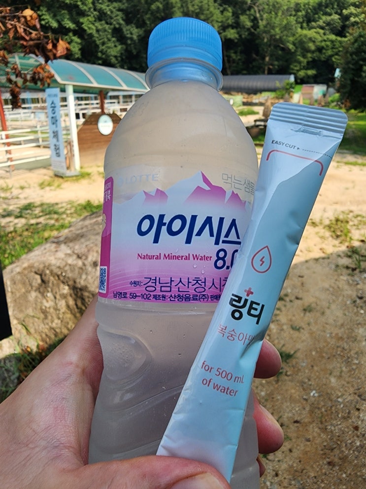 링티 너무 좋아요! : 네이버 블로그