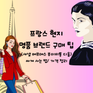 프랑스샤넬가격 + 파리아울렛 + 에르메스 루이비통 디올 및 명품브랜드 정리 : 현지 (싸게사는 방법) (여행작가 김타리)