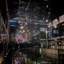 빛이 깨울때 전시 후기ㅣ마곡문화관 서울식물원