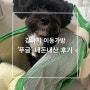 강아지 이동가방 ‘포글’ 허그백 구매 후기