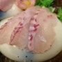 제주코스요리 제주노형맛집 홋카이도 일식당 생선회코스