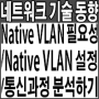 Native VLAN의 필요성/Native VLAN 설정 및 통신과정 분석/Native VLAN과 Default VLAN 관계 정리