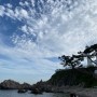 [장소] 삼남매 바다 수영을 꿈꾸며...송대말등대