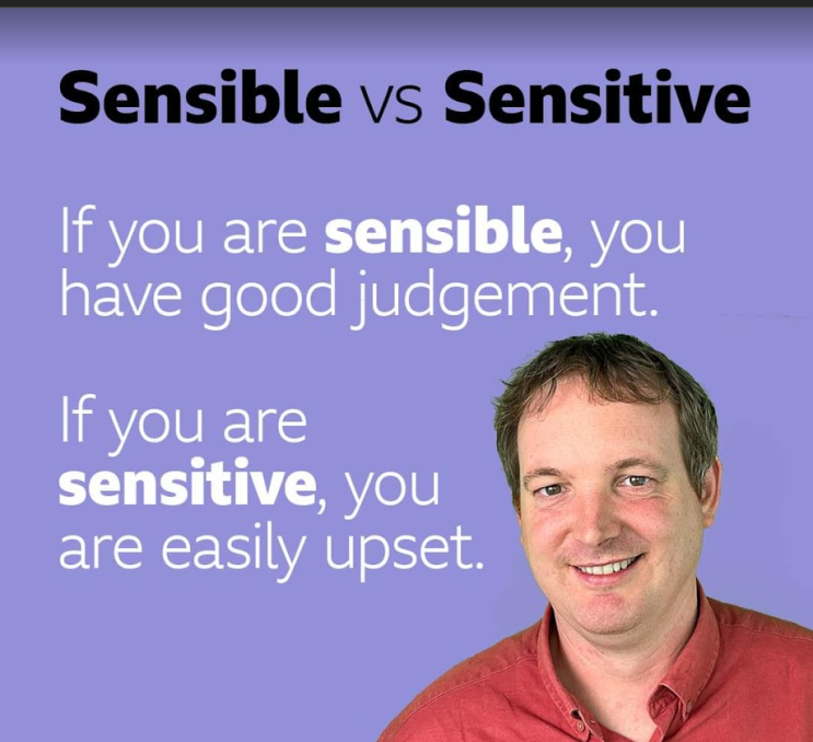 [영어] Sensible과 Sensitive의 차이를 아시나요? : 네이버 블로그