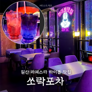 [경기 / 일산] 하이볼 맛집 일산 라페스타 술집 쏘락포차