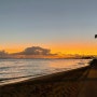 하와이 여행, 호놀룰루 와이키키 해변 전경, 일몰 풍경 (ft. 멸종위기 바다표범 주의!)