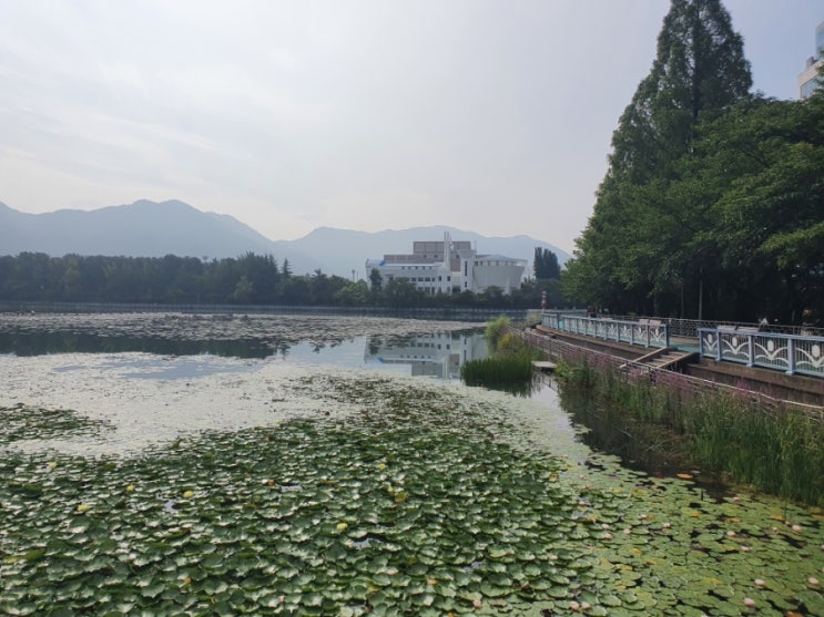 창원 용지호수공원 산책 후기