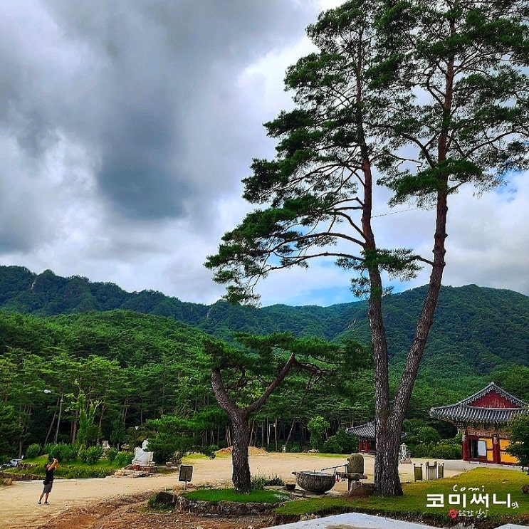 [영월 여행] 사자산 법흥사 우리나라 5대 적멸보궁 있는 법흥사 고즈넉한 사찰 : 네이버 블로그