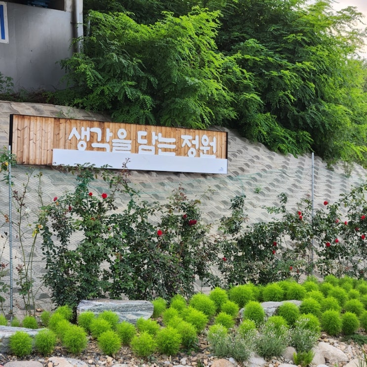 수성구 식물원~생각을 담는 정원