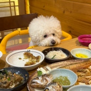 고양 애견동반 식당 '마니산산채' | 가족끼리 가기 좋은 일산 한정식집