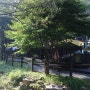 박달재자연휴양림 캠핑