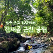 [담양 여행] 전남 광주 근교 물놀이하기 좋은 담양 계곡 한재골 근린공원 애견동반 가능!