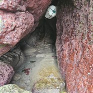 이색적인 여행지 #3 / 바닷물이 빠지면 약수터가 되는 해식동굴