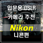 입문용 DSLR 카메라 추천 - 니콘편