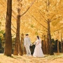 셀프웨딩촬영 노랗게 물든 은행나무 아래 서울숲 셀프웨딩스냅