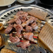 대전 유성 봉명동 뒷고기 맛집 마시기통차 유성본점