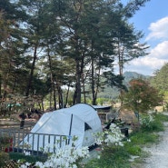 캠핑15, 홍천 용오름캠핑장 하늘데크3 계곡이 좋은 곳!