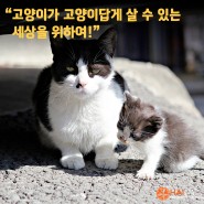 “고양이가 고양이답게 살 수 있는 세상을 위하여!”