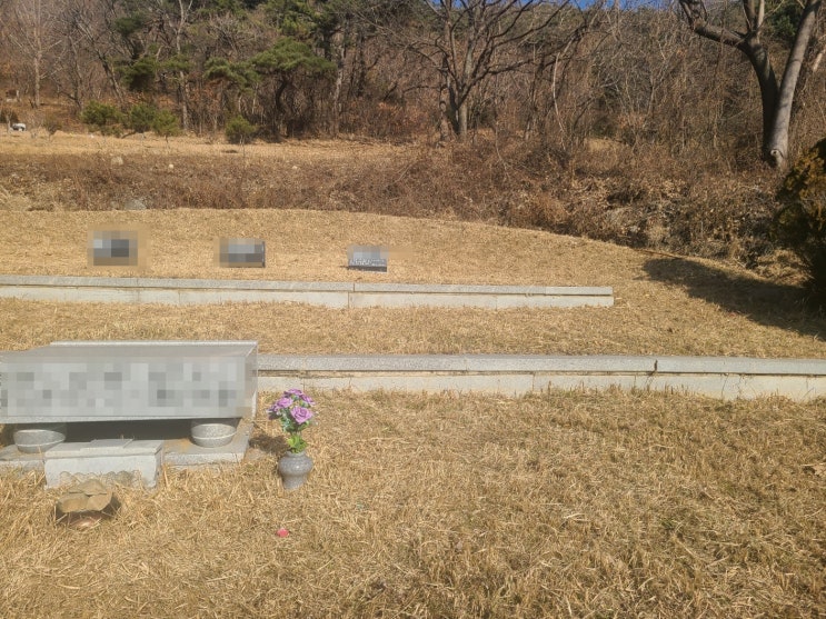 대구 경북 가족묘 가족평장묘 조성 전문업체와 함께하세요 : 네이버 블로그