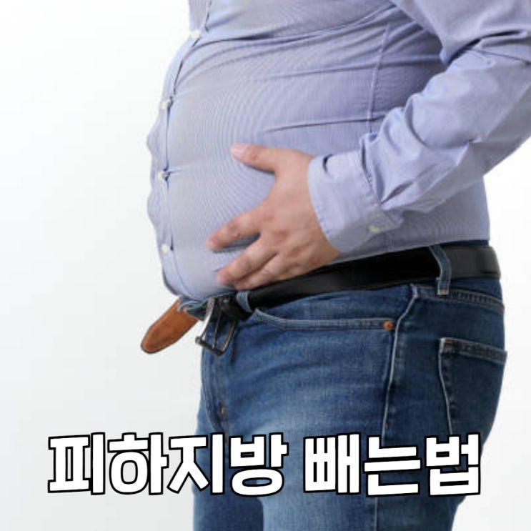 피하지방 내장지방 빼는 법 복부 태우기 운동 원리부터 네이버 블로그