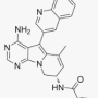 [EGFR] 타이호 제약의 EGFR 엑손20 삽입 변이 약물 zipalertinib의 임상 결과 (REZILIENT3 임상 3상연구)
