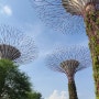 싱가포르, 가든스 바이 더 베이 식물원
