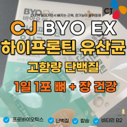 CJ 하이프론틴 유산균 효과 효능 장건강 뼈 근육 건강 CJ 바이오 하이 프론틴 고함량 단백질 유산균 후기