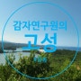 고성 응봉에서 블랙야크 강원20대 명산 챌린지 완성하는 최단거리 코스 꿀팁